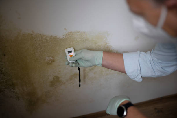 Best Mold Testing  in West End, NY