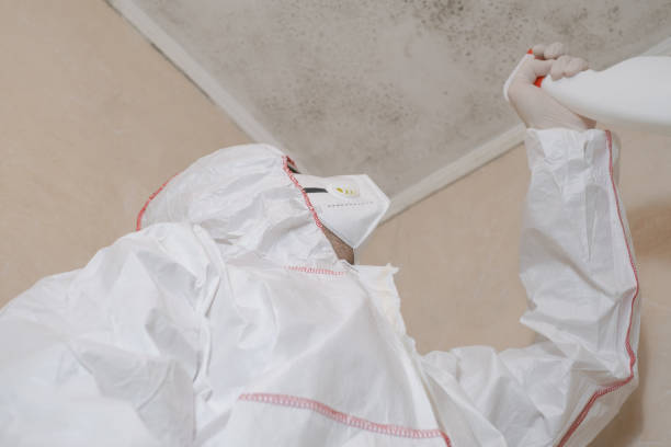 Best Mold Remediation  in West End, NY